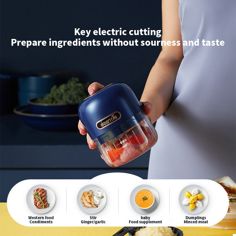 Delmar Garlic Maker Mini Electric Garlic Maker