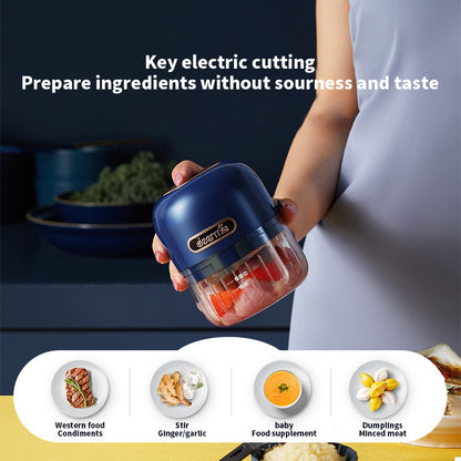 Delmar Garlic Maker Mini Electric Garlic Maker