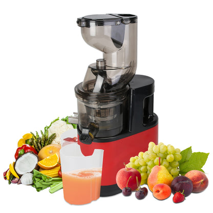 Cold Press Juicer Machine (300W Slow Masticating)