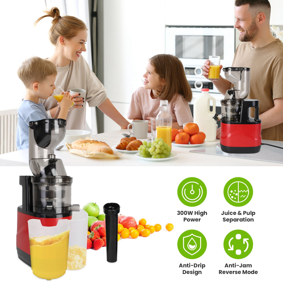 Cold Press Juicer Machine (300W Slow Masticating)