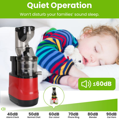 Cold Press Juicer Machine (300W Slow Masticating)