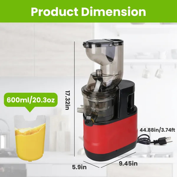 300W Cold Press Juicer Machine