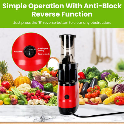Cold Press Juicer Machine (300W Slow Masticating)