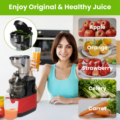 Cold Press Juicer Machine (300W Slow Masticating)