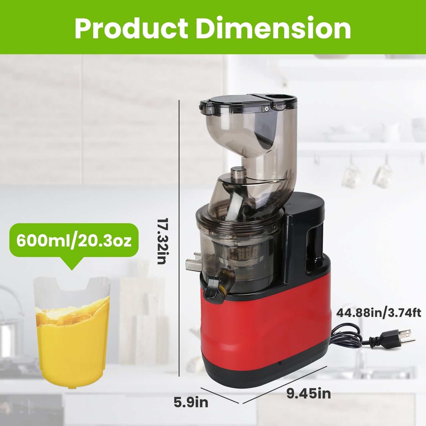 Cold Press Juicer Machine (300W Slow Masticating)