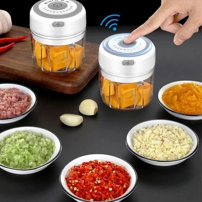 Electric 300ML Garlic Press / Mini Food Chopper