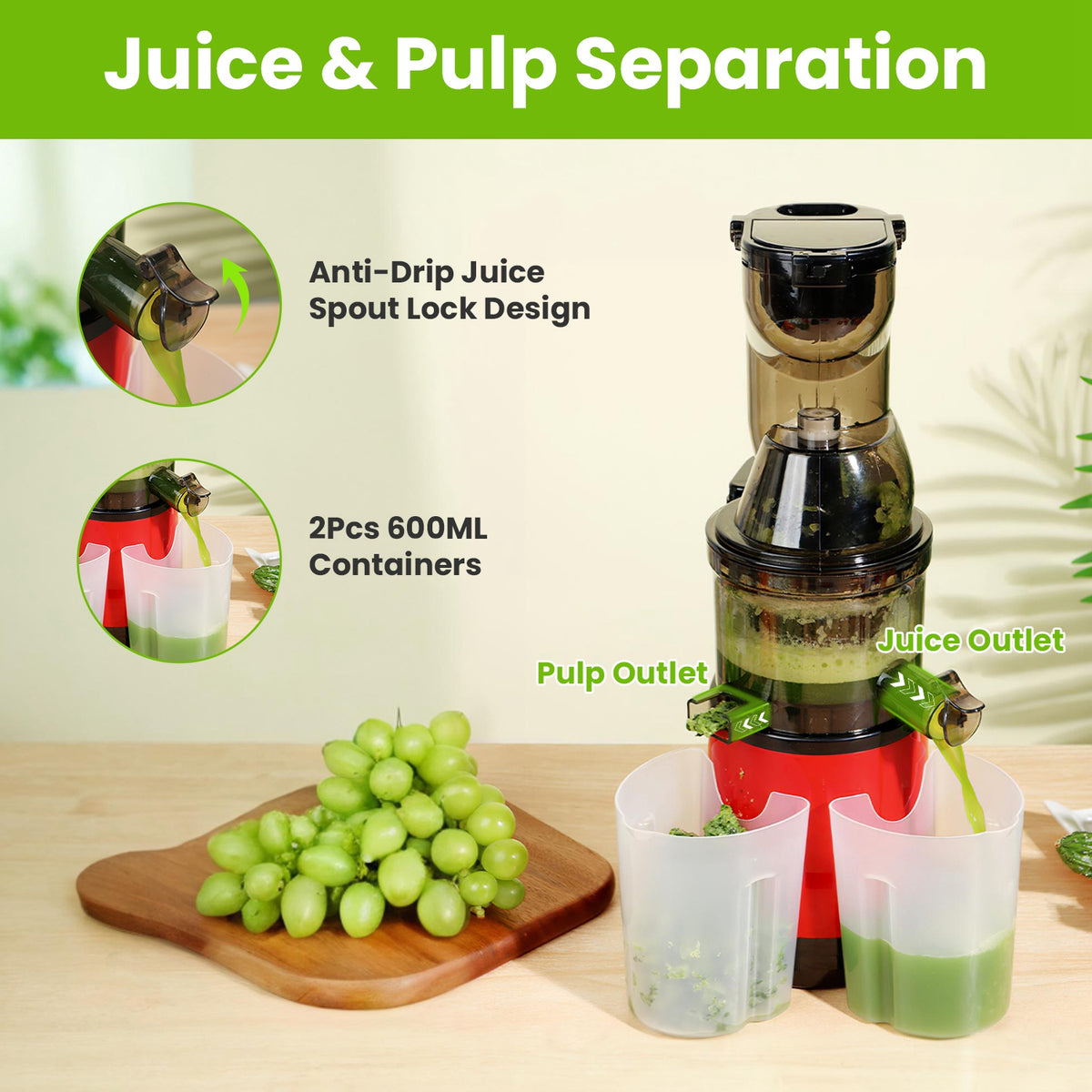 Cold Press Juicer Machine (300W Slow Masticating)