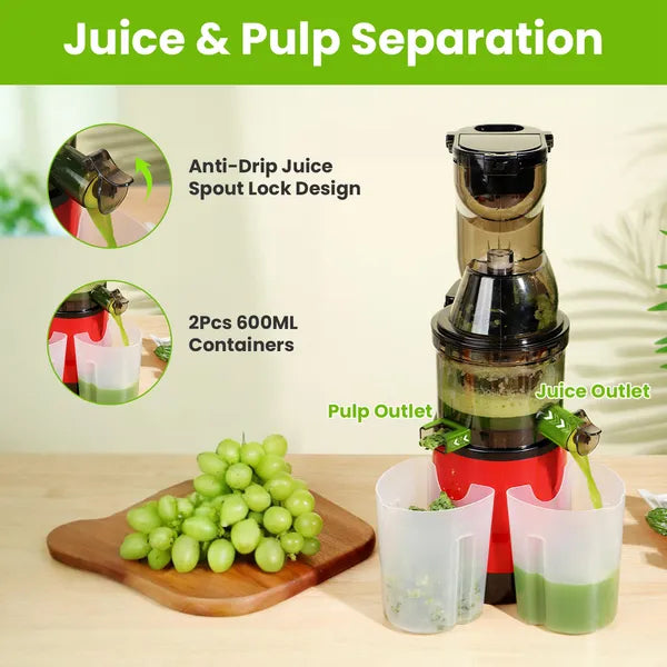 300W Cold Press Juicer Machine